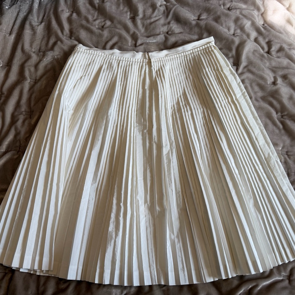 Banana Republic Ivory Pleated Circle Skirt